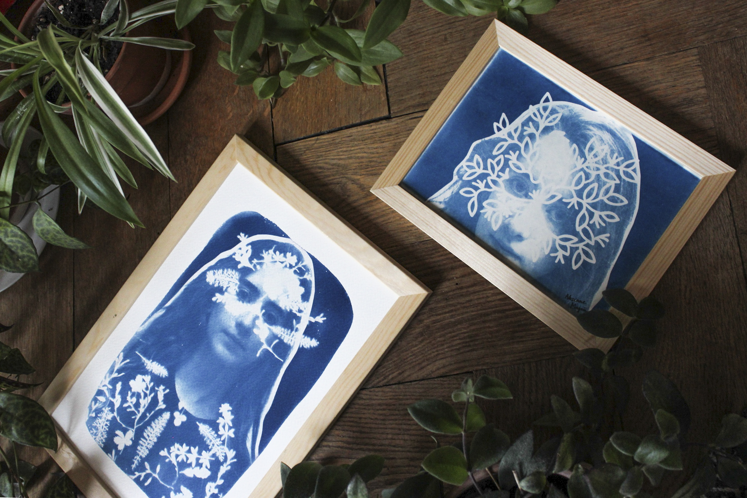 Cyanotype d'Alexiane Magnin