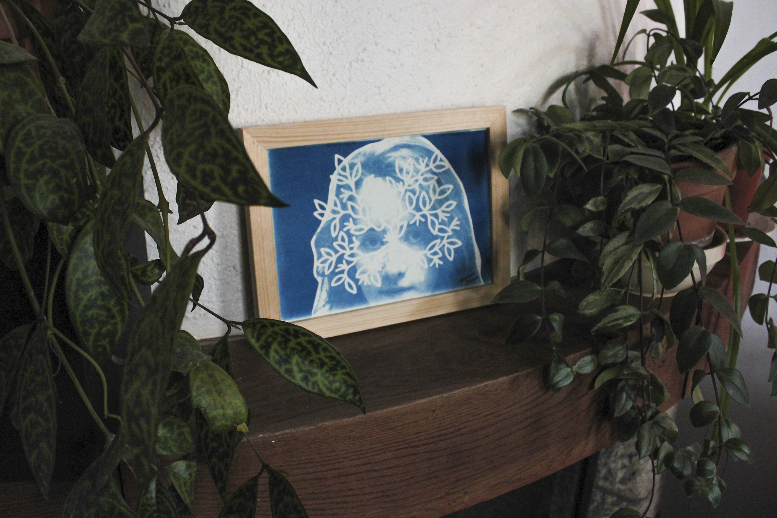 Cyanotype d'Alexiane Magnin