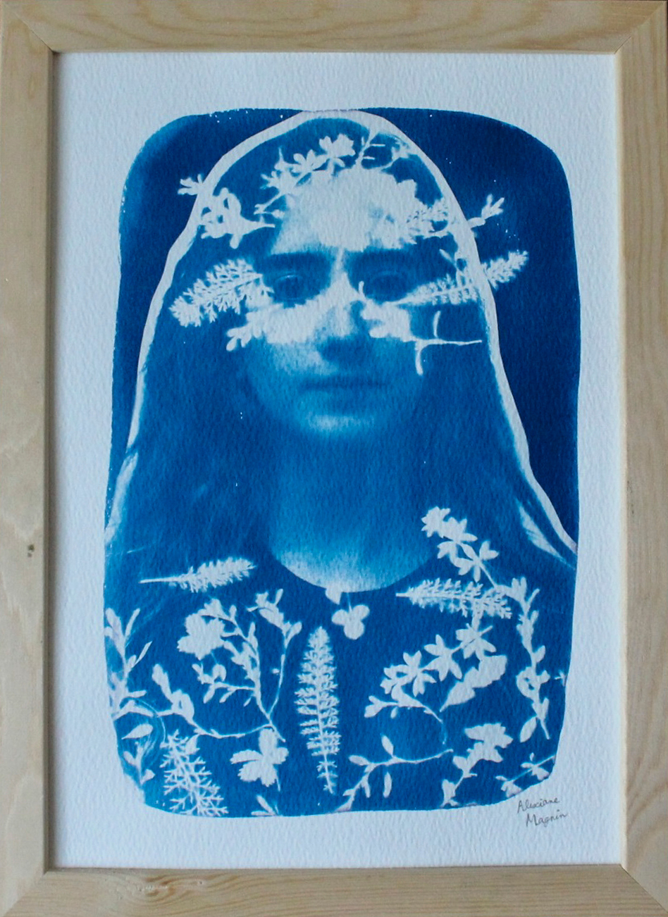 Cyanotype de Claudia Dapino