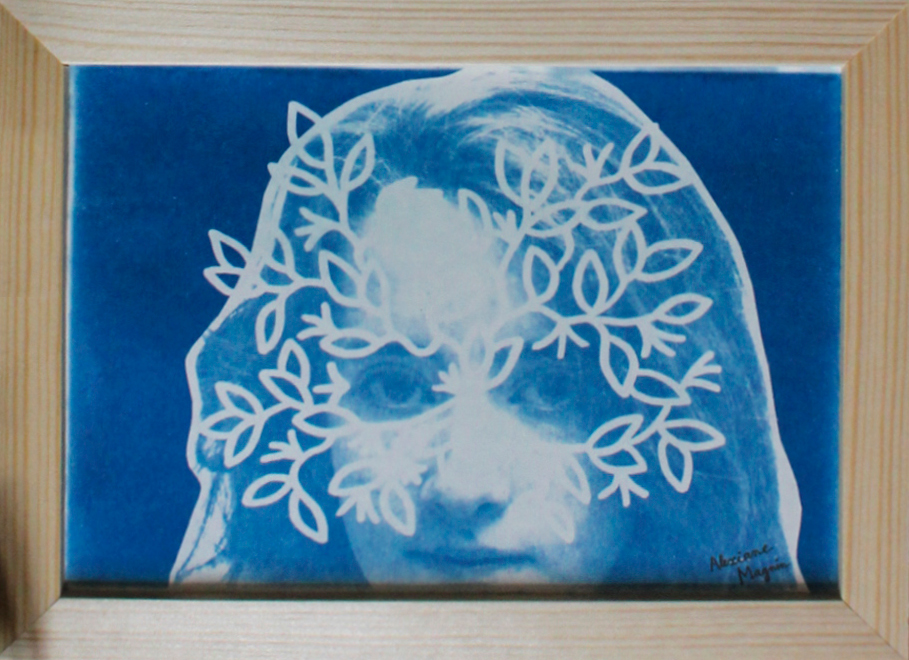 Cyanotype de Claudia Dapino