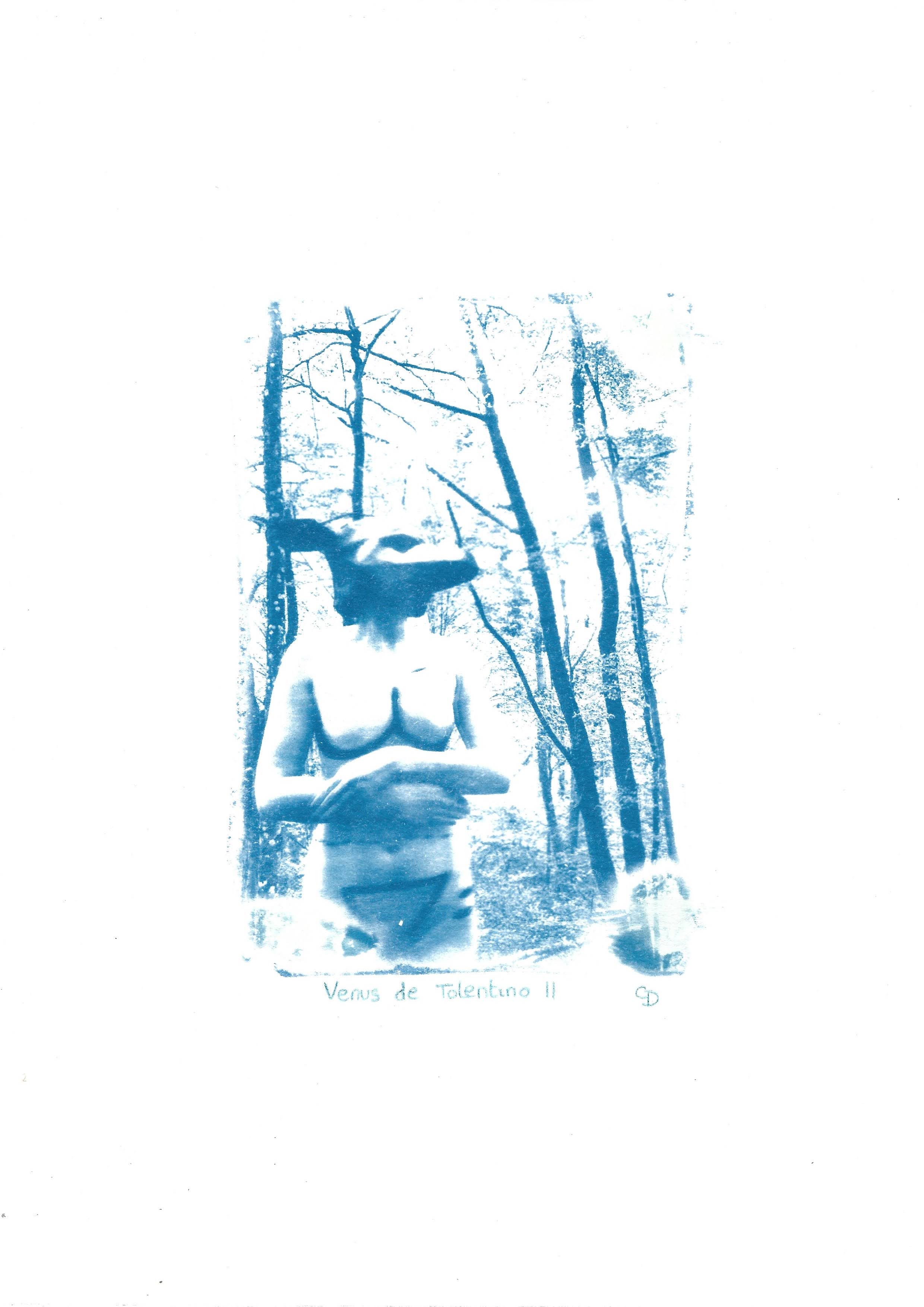 Cyanotype de Claudia Dapino